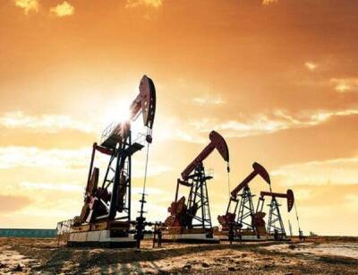 Нефтяной сектор экономики, как лучшая защита от инфляции