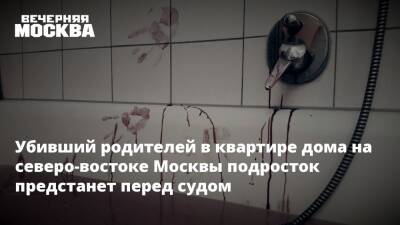 Людмила Нефедова - Убивший родителей в квартире дома на северо-востоке Москвы подросток предстанет перед судом - vm.ru - Москва