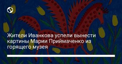 Жители Иванкова успели вынести картины Марии Приймаченко из горящего музея