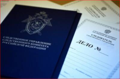 Нижегородский риелтор предстанет перед судом за хищение маткапитала на 9 млн рублей