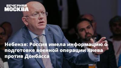 Небензя: Россия имела информацию о подготовке военной операции Киева против Донбасса