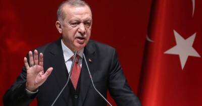 Эрдоган: Турция использует полномочия закрывать проливы Босфор и Дарданеллы для военных кораблей РФ