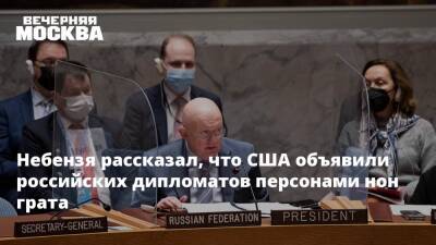 Небензя рассказал, что США объявили российских дипломатов персонами нон грата