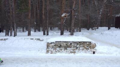 Мэр Воронежа попросил сохранить все деревья при обновлении парка «Танаис»