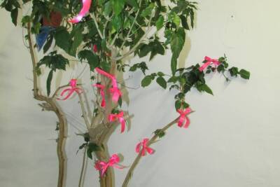 В СИЗО Бурятии прошла акция «Розовая ленточка» по борьбе с раком