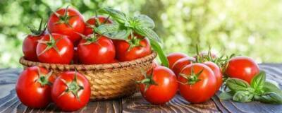Нутрициолог Розанова: Употребление нескольких килограмм незрелых помидоров может привести к коме