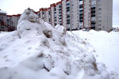 В Смоленске январь выдал 2,5 нормы снега