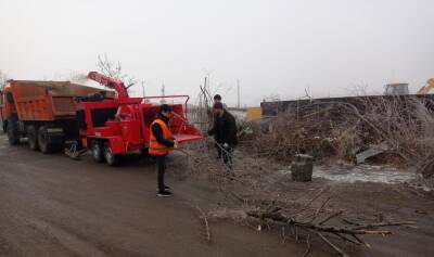 В Астрахани спиленные деревья утилизируют прямо во дворах