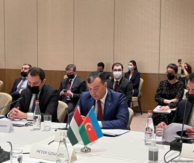 Азербайджан и Венгрия являются стратегическими партнерами - Сахиль Бабаев