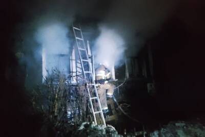Несколько обгоревших тел обнаружили на месте ночного пожара в Крестцах