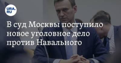 Алексей Навальный - Игнат Артеменко - Вера Акимова - В суд Москвы поступило новое уголовное дело против Навального - ura.news - Москва - Россия