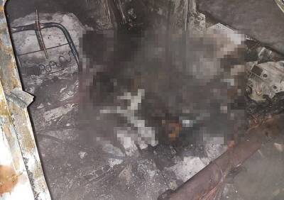 Опубликованы фотографии с места гибели 44-летнего мужчины в Дубровичах - ya62.ru - Рязань - район Рязанский