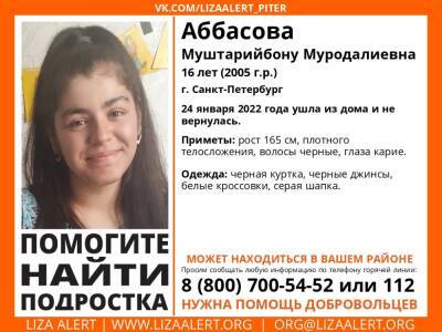 В Петербурге без вести пропала 16-летняя девушка