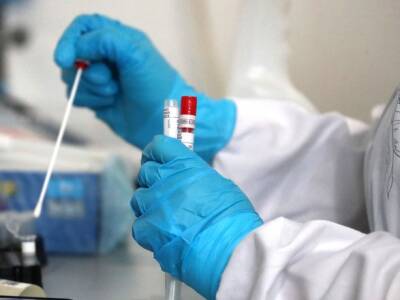 Возвращение к жизни: все больше стран ослабляют ограничения по коронавирусу