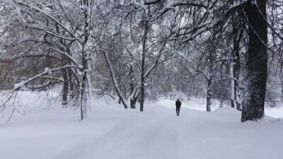 Жителям горного села пришлось выпрыгивать из электрички в сугробы из-за рекордных снегопадов - rosbalt.ru - Краснодарский край - район Туапсинский