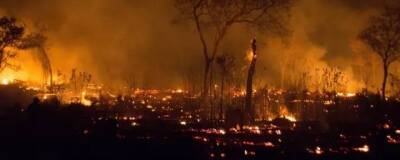 Более 600 млн рублей дополнительно получит Забайкалье на охрану лесов от пожаров