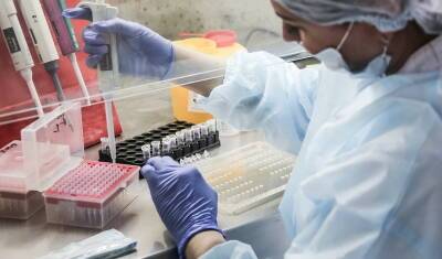 На исследование назальной вакцины от ковида уйдет 187,8 млн рублей