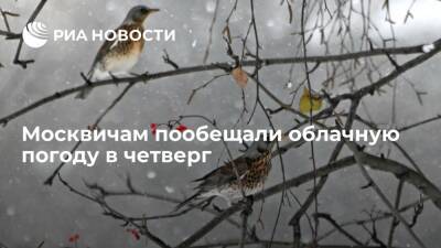Синоптик "Фобоса" Тишковец: в четверг в Москве ожидается до минус пяти градусов