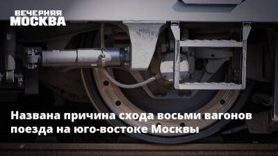 Названа причина схода восьми вагонов поезда на юго-востоке Москвы