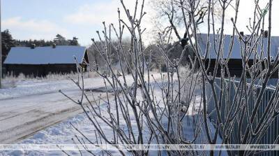 Ночные морозы, туман и потепление: синоптики рассказали о погоде в Беларуси на следующей неделе
