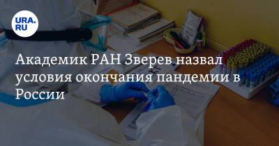 Академик РАН Зверев назвал условия окончания пандемии в России