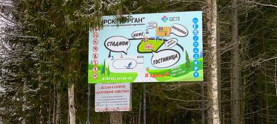 Судьбу Кургана в Петрозаводске вновь обсудят онлайн