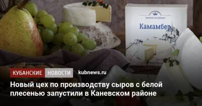 Новый цех по производству сыров с белой плесенью запустили в Каневском районе