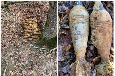 В лесу на Кубани обнаружили схрон боеприпасов времен Великой Отечественной войны