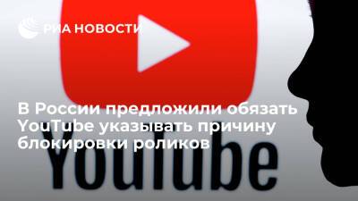 Владимир Зыков - Ассоциация пользователей предложила обязать YouTube указывать причину блокировки роликов - ria.ru - Москва - Россия