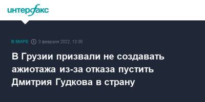 Алексей Навальный - Дмитрий Гудков - Грузия - В Грузии призвали не создавать ажиотажа из-за отказа пустить Дмитрия Гудкова в страну - interfax.ru - Москва - Россия - Киев - Грузия - Апсны - Тбилиси