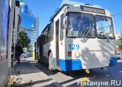 "В ожидании трамвая": для жителей Академического запустят троллейбусы и большие автобусы