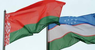 В 2021 году внешнеторговый оборот Беларуси и Узбекистана превысил $300 млн