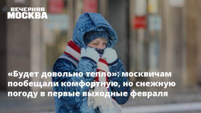 «Будет довольно тепло»: москвичам пообещали комфортную, но снежную погоду в первые выходные февраля