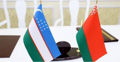 Объем внешнеторгового оборота Беларуси и Узбекистана в 2021 году превысил 300 млн долларов США