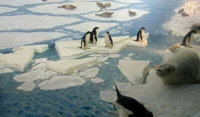 Геннадий Чародеев - В Антарктике ученые не обнаружили «параллельный мир», где время идет вспять - newizv.ru