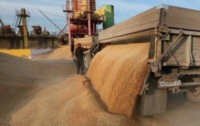 Украина заработала на экспорте зерновых $12,3 млрд