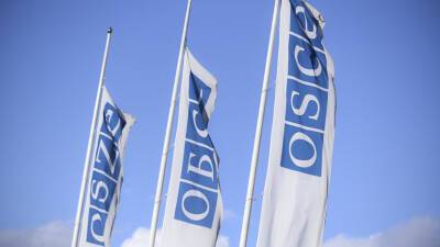 Постпред России призвал представителя ОБСЕ по СМИ отреагировать на ситуацию с RT DE в ФРГ