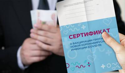 Кристиан Виганд - Привитые европейским бустером россияне получат ковидный паспорт ЕС - newizv.ru
