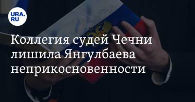 Коллегия судей Чечни лишила Янгулбаева неприкосновенности
