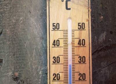 Гарвардские ученые создали автономный растягивающийся термометр
