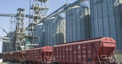 Украина в 2021 экспортировала зерновых на $12,3 млрд, — ННЦ "ИАЕ"