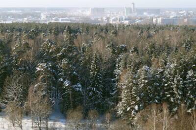 Гидрометцентр пообещал России теплый февраль