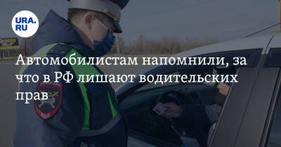 Автомобилистам напомнили, за что в РФ лишают водительских прав