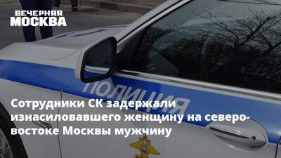 Полиция задержала изнасиловавшего женщину на северо-востоке Москвы мужчину