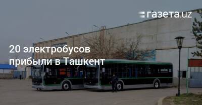 20 электробусов прибыли в Ташкент