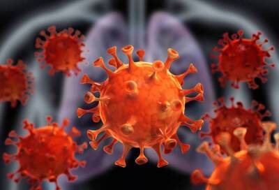 Тоже смертен: ученые узнали на какие сутки коронавирус погибает в организме человека