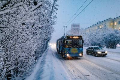 Власти Мурманска рассказали, как в городе дезинфицируют общественный транспорт