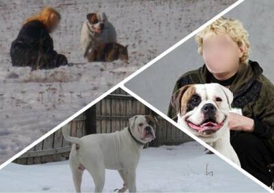 Под Новосибирском умерла искусанная собственными собаками 54-летняя женщина