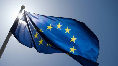 В ЕС изучают решение Белоруссии запретить транзит товаров из Литвы