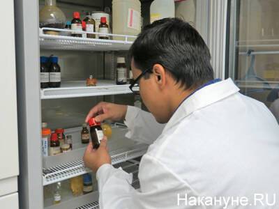 Минздрав зарегистрировал новый препарат от коронавируса "Молнупиравир"
